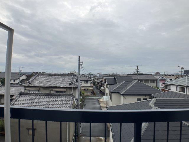 ニューホワイトビルの展望