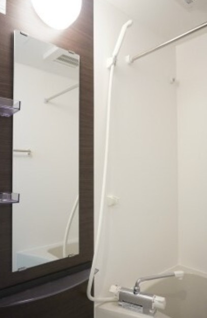 リブリ・アウレリア大久保の浴室