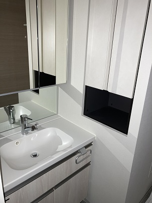 ソルティア橋本の洗面所