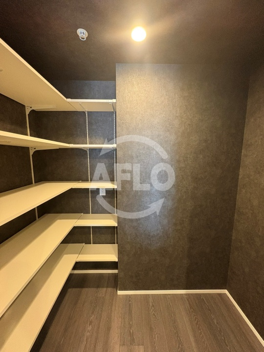 コンフォリア・リヴ谷町四丁目　中大江小学校区の収納|コンフォリア・リヴ谷町四丁目　収納