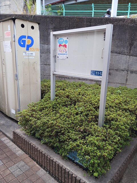 ボニート・プリムラのその他