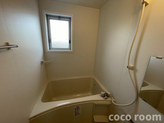 ドエル川村の浴室