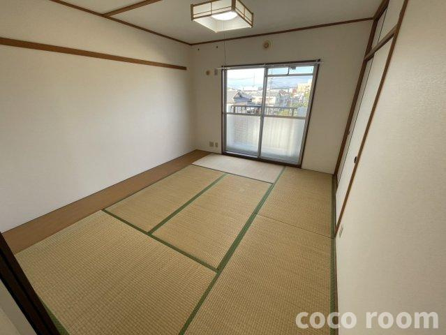 ドエル川村の和室