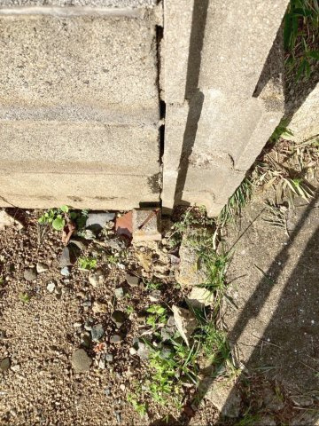 糟屋郡須恵町大字新原　土地の外観|土地の範囲が明確で、安心してご検討いただけます！