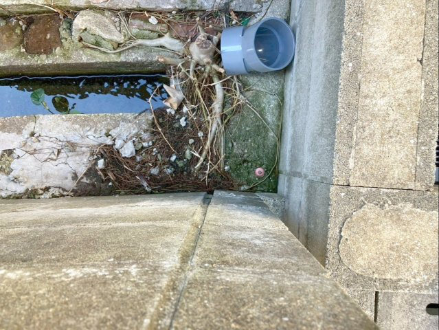 糟屋郡須恵町大字新原　土地の外観|敷地境界に境界標を確認できます！