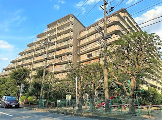 【外観】 | 鳩ヶ谷スカイハイツ