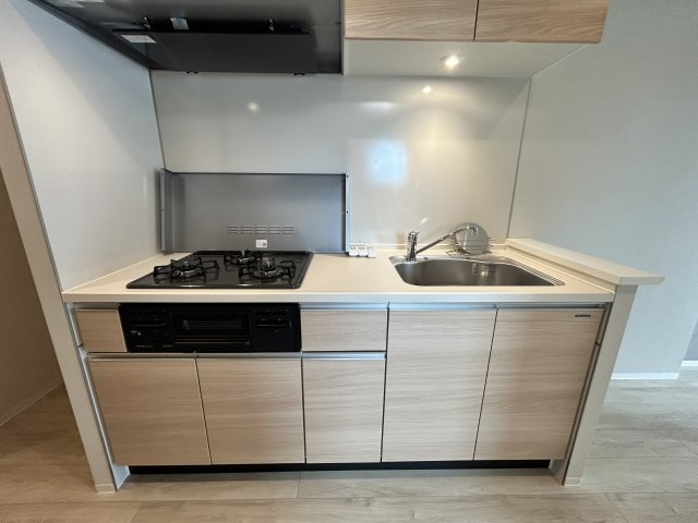 GRAN PASEO蔵前Ⅱのキッチン|お料理しやすいキッチンです