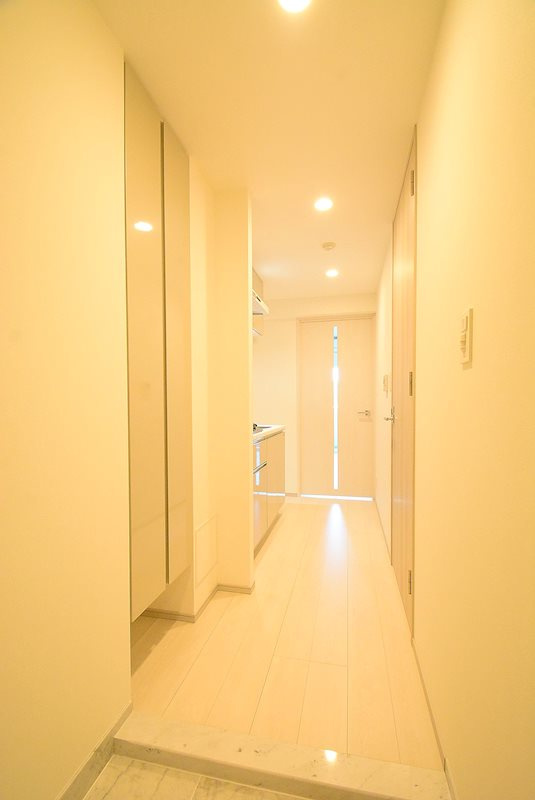 ステージファースト大森山王の玄関|※カラータイプ異なります