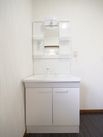 東畦戸建の洗面所