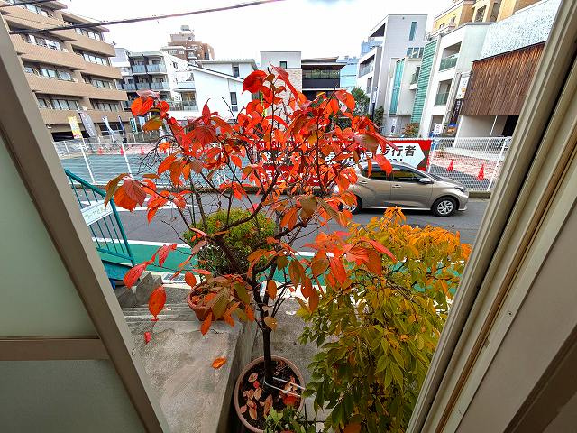 カーサ北馬込の展望