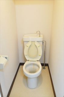 メゾン山崎のトイレ|トイレも気になるポイント