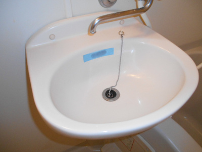 【その他】 | グレースパピヨン