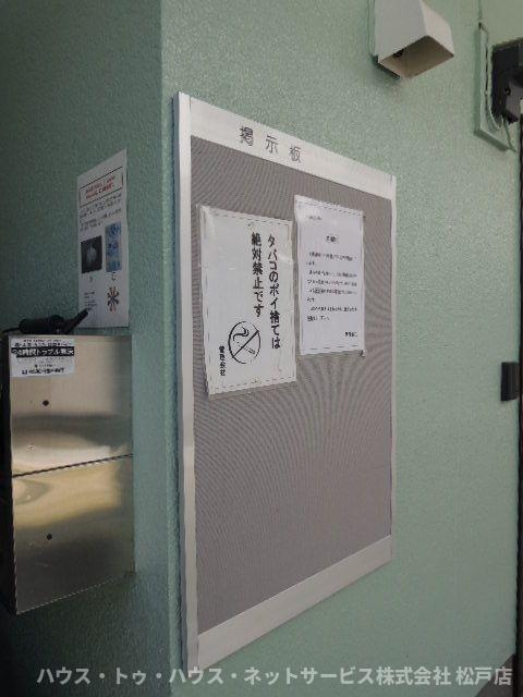 ジュネパレス新松戸第１１