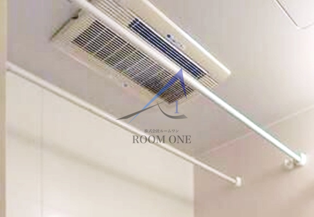 シルバーグレイスのその他