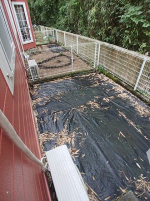 【庭】 | フィエルテ | お庭で自由な時間を過ごせます