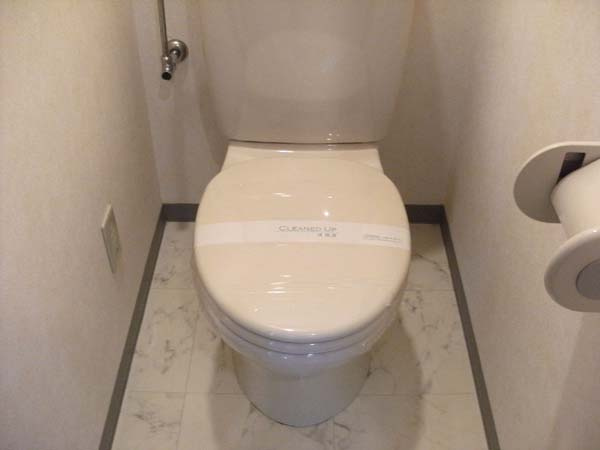 サンパレス藤のトイレ|落ち着いたトイレです