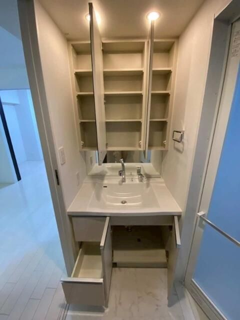 エグザ両国リアンの洗面所