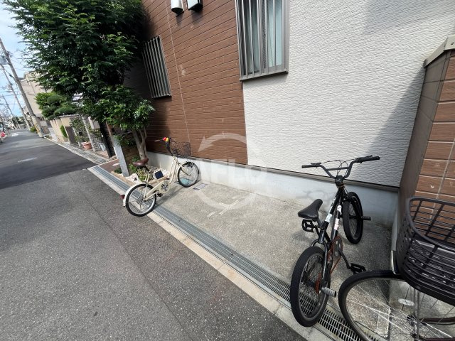 スプリング・ソナタのその他