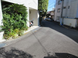 伊東市　宇佐美の前面道路含む現地写真