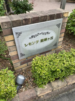 【庭】 | レセンテ紫峰ヶ丘