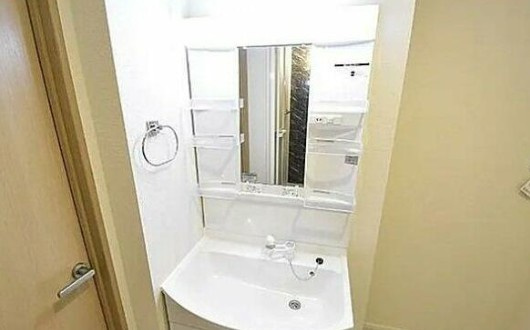 ファミール石原の洗面所