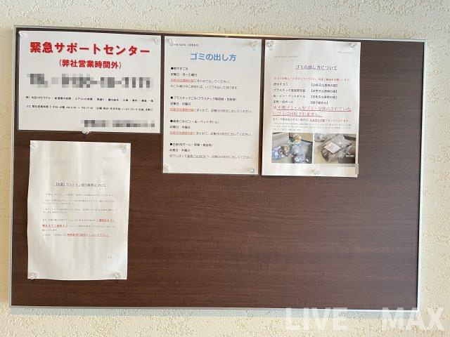 【その他】La Fite SAIIN 