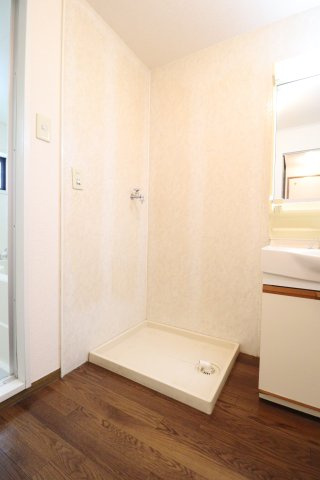 メゾンアベニューの洗面所