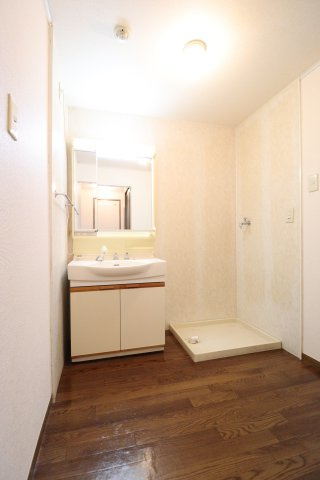 メゾンアベニューの洗面所