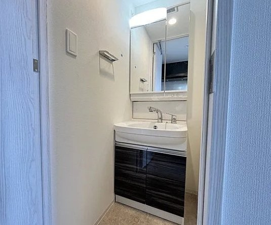 ブランシエスタ加島の洗面所