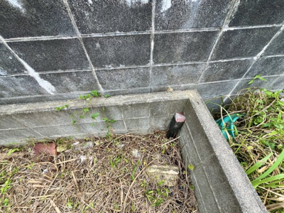 【外観】 | 磐田市川袋　住宅敷地 | 公簿135㎡(40.83坪)、市街化区域。ＪＡ遠州中央 竜洋支店から50ｍほどのお土地です。