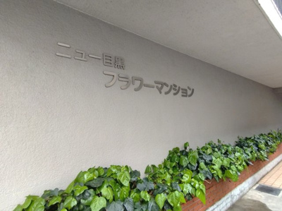 【エントランス】 | ニュー目黒フラワーマンション | 清潔なエントランスです