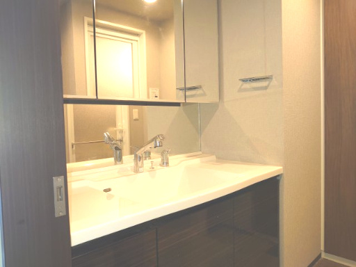 レーベン麓山　ＴＨＥ　ＭＡＳＴＥＲ 4階 ３ＬＤＫの独立洗面台