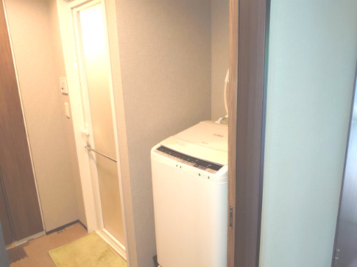 レーベン麓山　ＴＨＥ　ＭＡＳＴＥＲ 4階 ３ＬＤＫの脱衣所