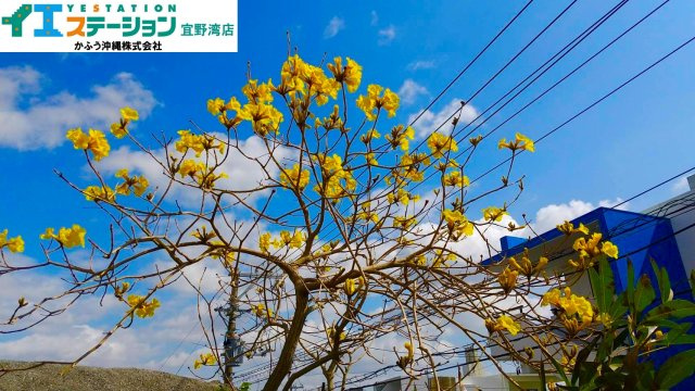 宇地泊2丁目　戸建てのその他