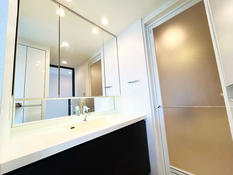 プラウド一社の洗面所