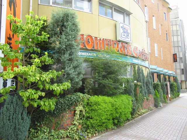 ＣＯＲＮＥＳ　ＨＯＵＳＥ　ＮＡＧＯＹＡの周辺