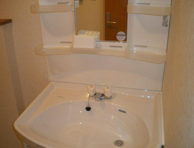 【独立洗面台】 | サンテラス十条