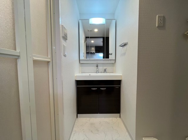 エステムコート名古屋サウスプレミオの独立洗面台