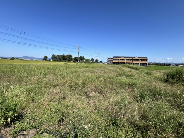 八代市千丁町大牟田1818-1　土地の外観