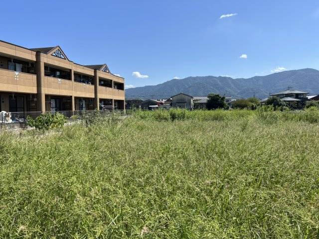 八代市千丁町大牟田1818-1　土地の外観