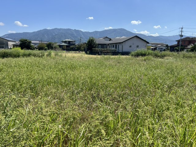 八代市千丁町大牟田1818-1　土地の外観