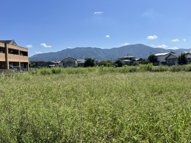八代市千丁町大牟田1818-1　土地の外観