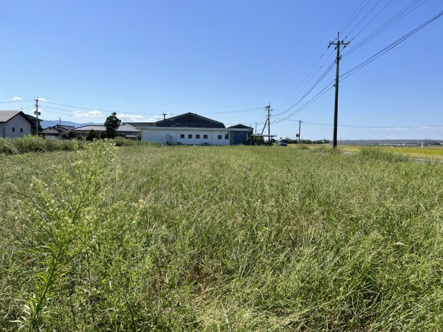 八代市千丁町大牟田1818-1　土地の外観