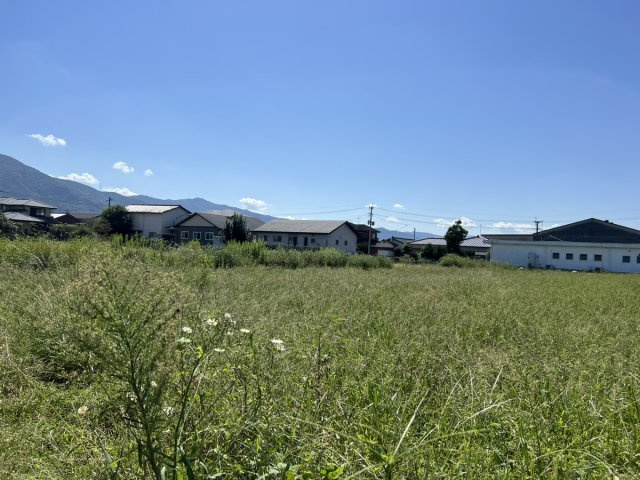 八代市千丁町大牟田1818-1　土地の外観