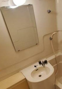 トーカン上野北キャステールの洗面所