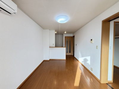 【その他】 | プラシード