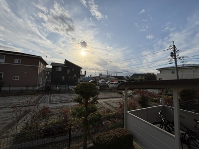 【展望】 | プラシード