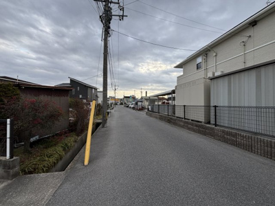 【周辺】 | プラシード