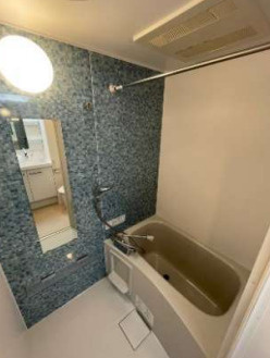 北区赤羽西２丁目の賃貸マンションの浴室