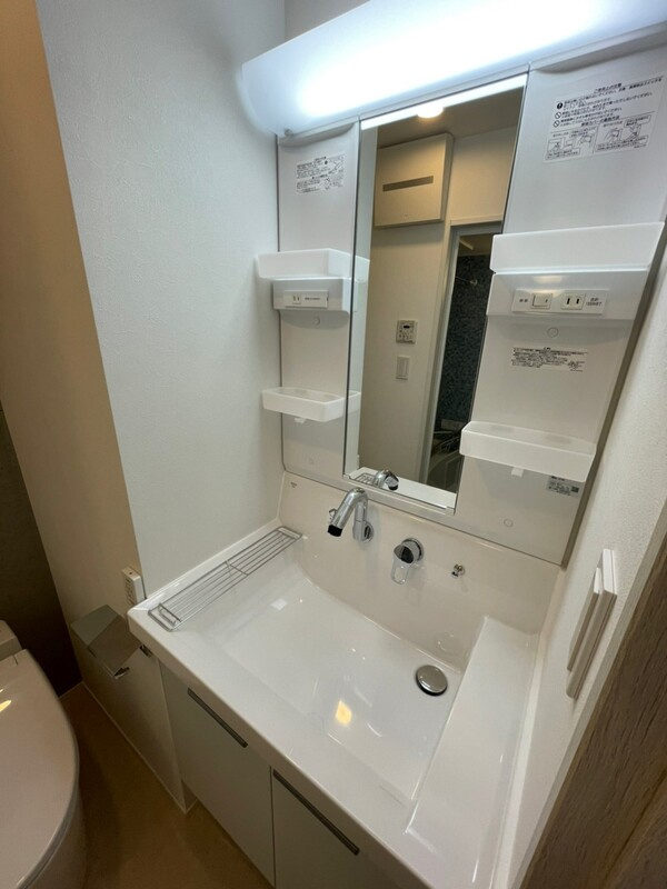 北区赤羽西２丁目の賃貸マンションの洗面所